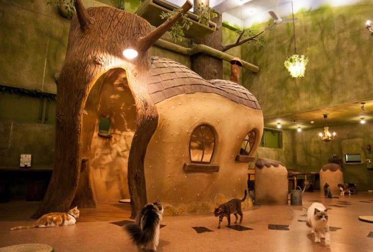 Articolo del 15 Mag 2020