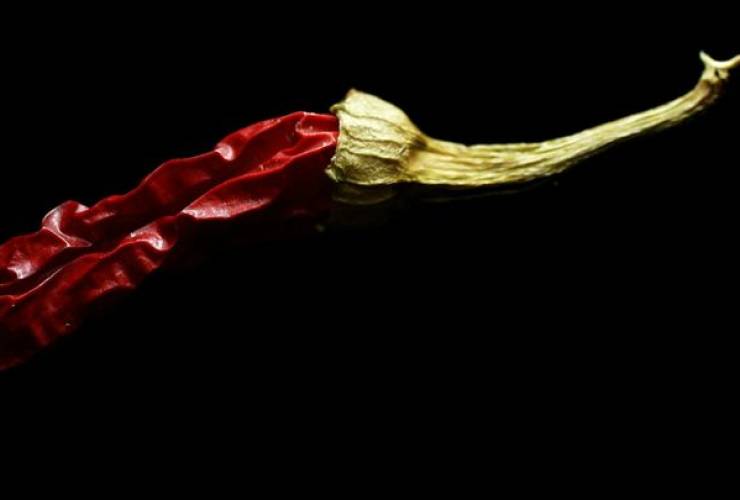 Articolo del 06 Nov 2020