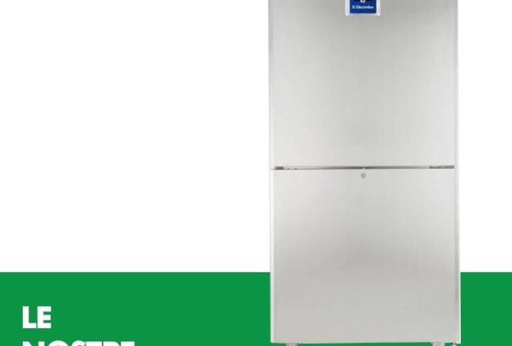 Articolo del 26 Dic 2023