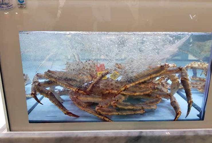 Articolo del 20 Ott 2019